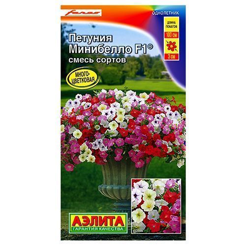 ������ ������ ������� ���� �������������� ��������� F1, ����� ������� ������   ����