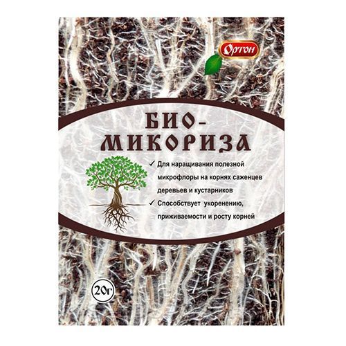 ������ ������ �����������, ���������� ���������������� 20 �   ����