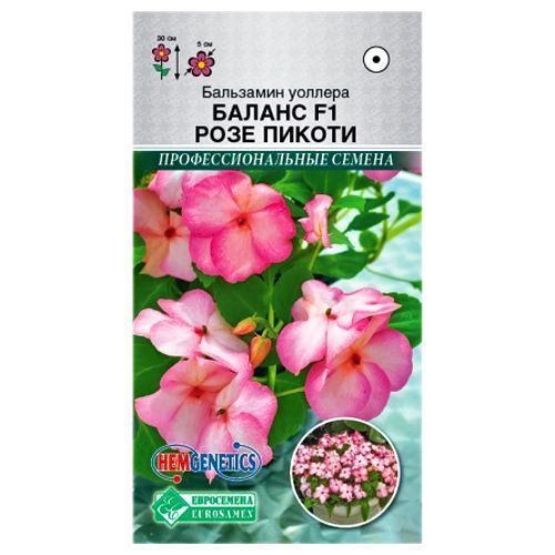 ������ ������ ��������� ������� ������ ���� ������ F1 ����������   ����