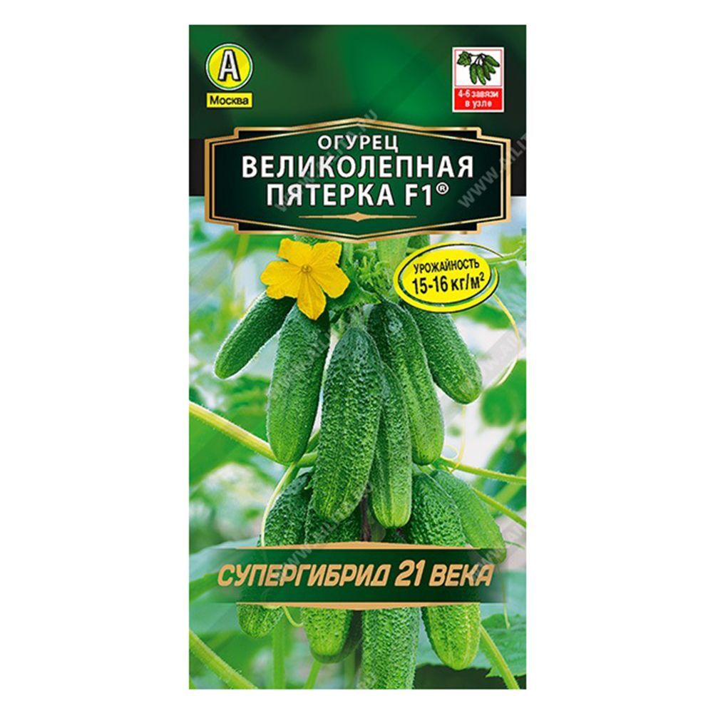 ������ ������ ������ ������������ ������� F1 ������   ����