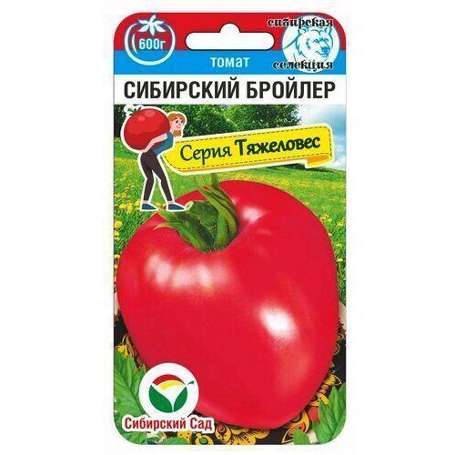 ������ ������ ����� ��������� ������� ��������� ���   ����