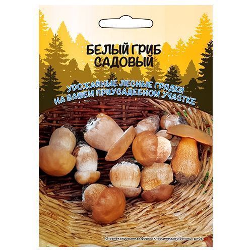 ������ ������ ����� ���� ������� ��������� ������   ����