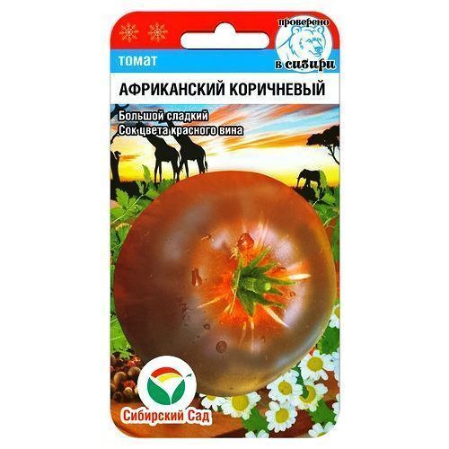 ������ ������ ����� ����������� ���������� ��������� ���   ����