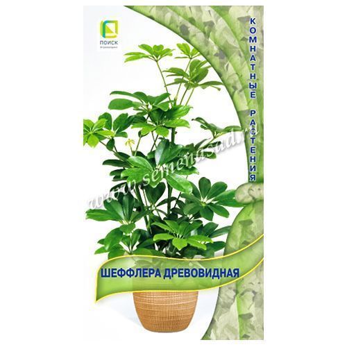 ������ ������ �������� ����������� �����   ����