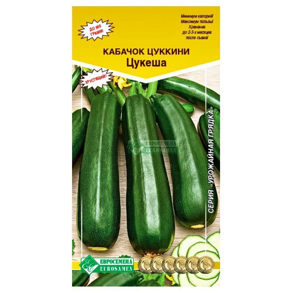 ������ ������ ������� ������ ����������   ����