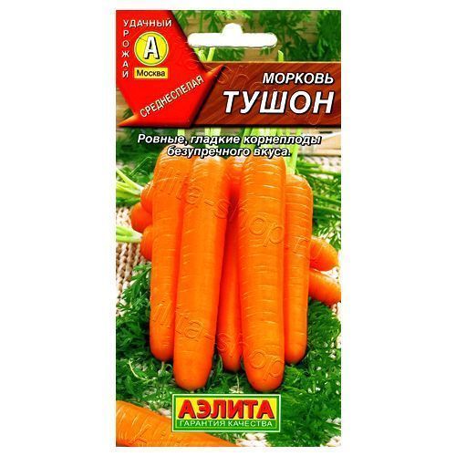 ������ ������ ������� ����� ������   ����