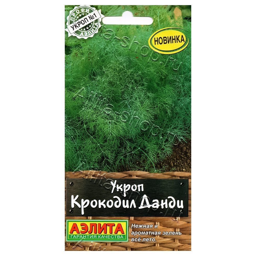 ������ ������ ����� �������� ����� ������   ����