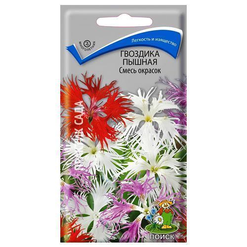 ������ ������ �������� ������, ����� ������� �����   ����