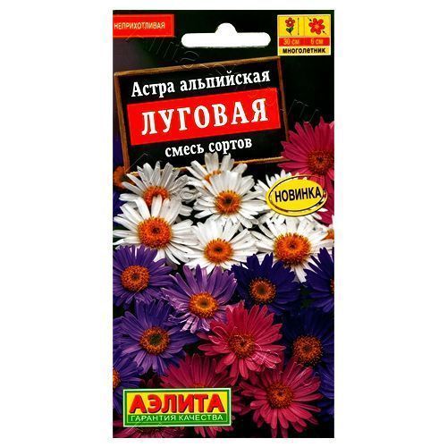 ������ ������ ����� ���������� �������, ����� ������� ������   ����