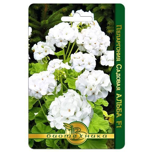 ������ ������ ���������� (������) ����� F1 ����������   ����