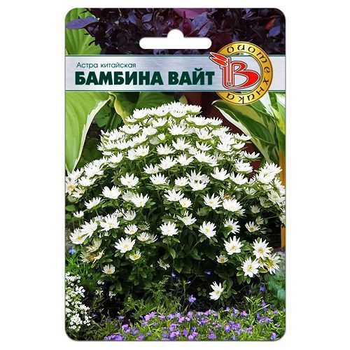 ������ ������ ����� ��������� ������� ���� ����������   ����