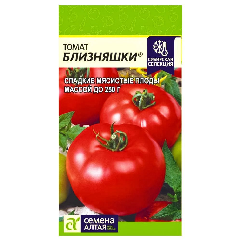 ������ ������ ����� ��������� ������ �����   ����