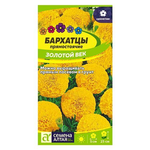 ������ ������ �������� ������������ ������� ��� ������ �����   ����