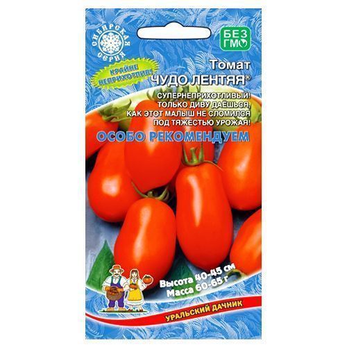 ������ ������ ����� ���� ������ ��������� ������   ����