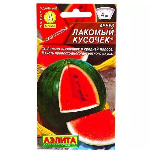 ������ ������ ����� ������� ������� ������   ����