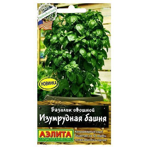 ������ ������ ������� ������� ���������� ����� ������   ����