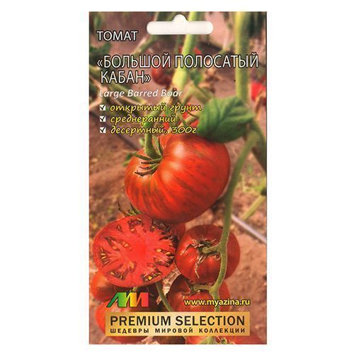 ������ ������ ����� ������� ��������� ����� ����������� ������ �.�.   ����