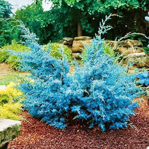 ������ ������ ������������ ��������� ��� �����   ����