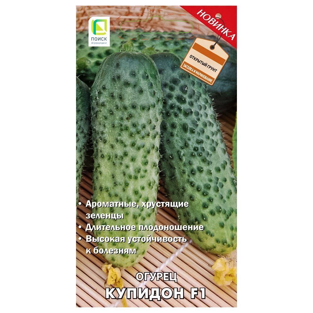 ������ ������ ������ ������� F1 �����   ����