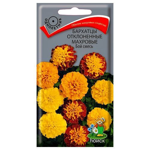 ������ ������ �������� ����������� �������� ���, ����� ������� �����   ����