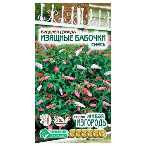 ������ ������ ������� ������ ������� �������, ����� ������� ����������   ����