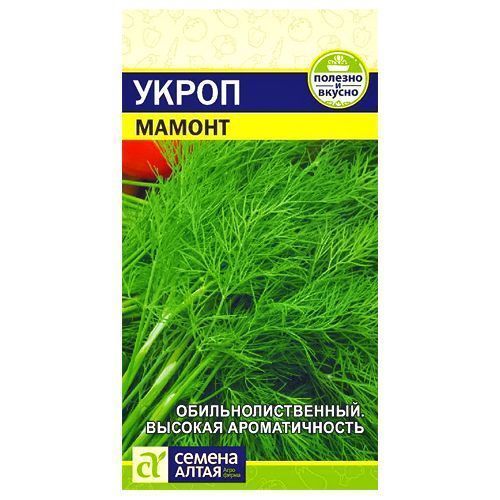 ������ ������ ����� ������ ������ �����   ����