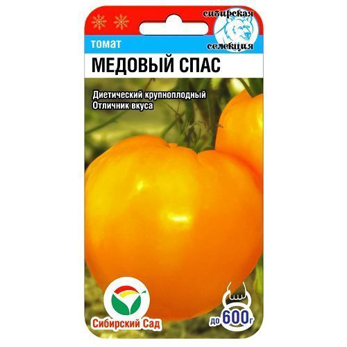 ������ ������ ����� ������� ���� ��������� ���   ����