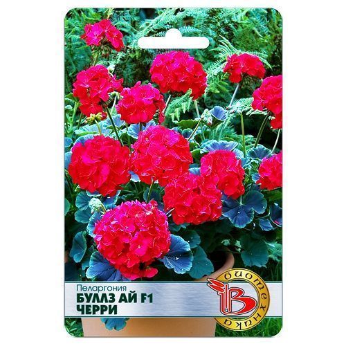 ������ ������ ���������� (������) ����� �� F1 ����� ����������   ����