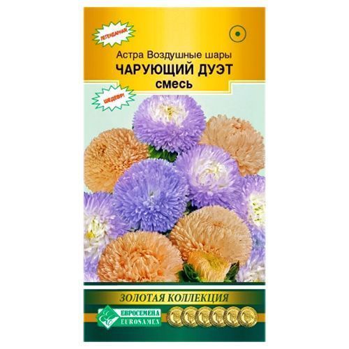 ������ ������ ����� ��������� ���� �������� ����, ����� ������� ����������   ����