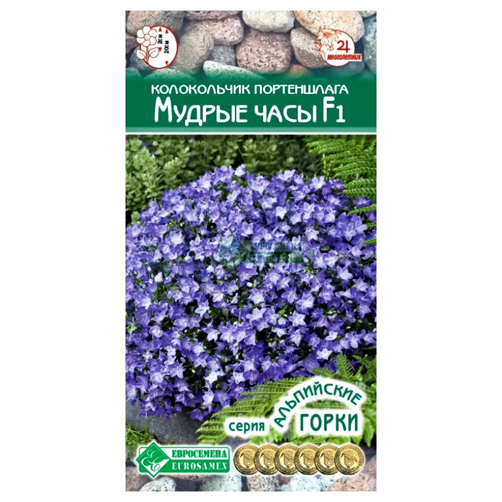 ������ ������ ����������� ����������� ������ ���� F1 ����������   ����