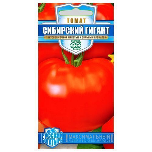 ������ ������ ����� ��������� ������ ������   ����