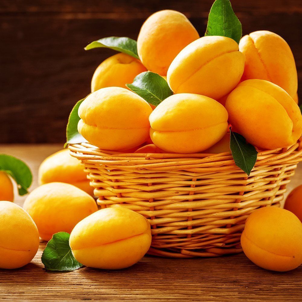 ������ ������ ������� ��������� ��������   ����