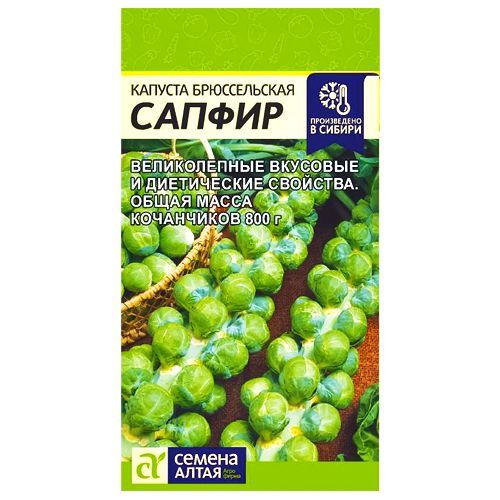 ������ ������ ������� ������������ ������ ������ �����   ����