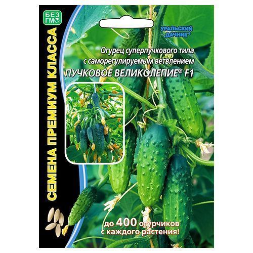 ������ ������ ������ �������������� ���� �������� ����������� F1 ��������� ������   ����