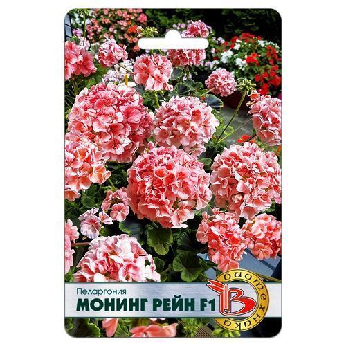 ������ ������ ���������� (������) ������ ���� F1 ����������   ����