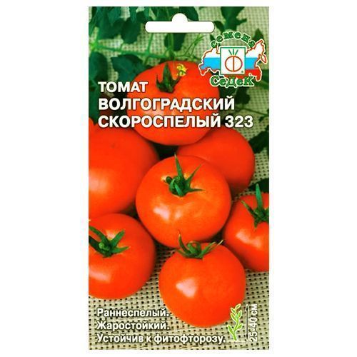 ������ ������ ����� ������������� ����������� 323 �����   ����