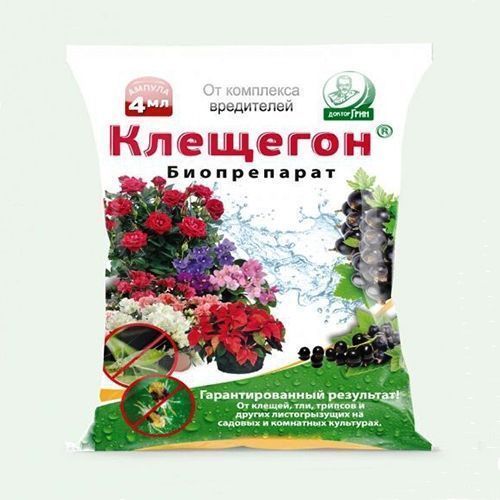 ������ ������ ������ ���� ��������, �� ��������� ���������� 4 ��   ����