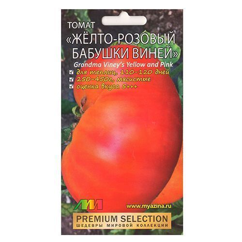 ������ ������ ����� �����-������� ������� ����� ����������� ������ �.�.   ����