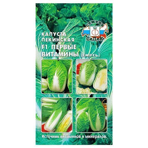 ������ ������ ������� ��������� ������ ��������, ����� ������ �����   ����