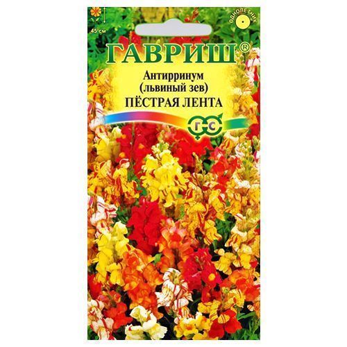 ������ ������ ���������� ������� �����, ����� ������� ������   ����