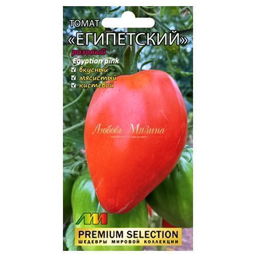 ������ ������ ����� ���������� ������� ����������� ������ �.�.   ����