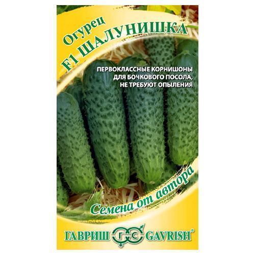 ������ ������ ������ �������� ��������� F1 ������   ����