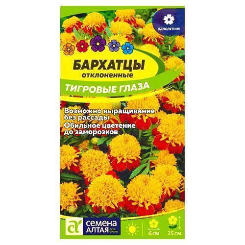 ������ ������ �������� ����������� �������� ����� ������ �����   ����