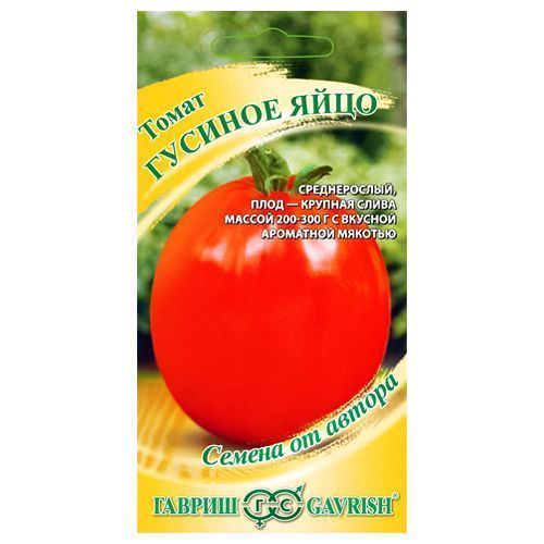 ������ ������ ����� ������� ���� ������   ����