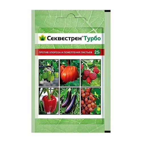 ������ ������ ���������� �����, ������ ������� � ���������� ������� 25 �   ����