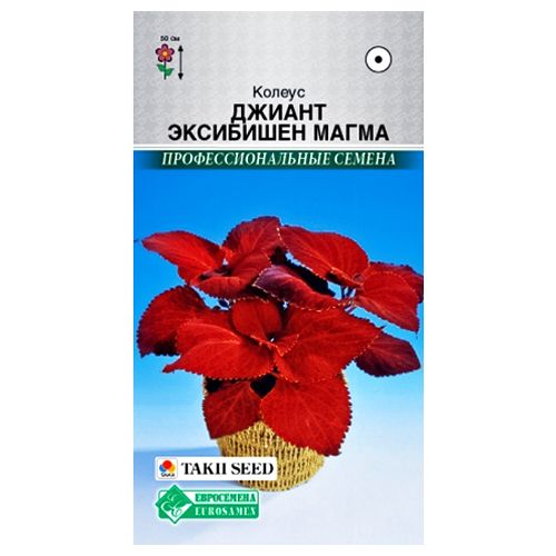 ������ ������ ������ ������ �������� ����� ����������   ����