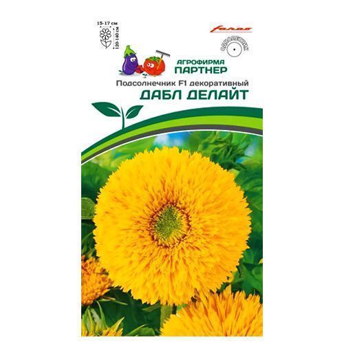 ������ ������ ������������ ���� ������ F1 �������   ����