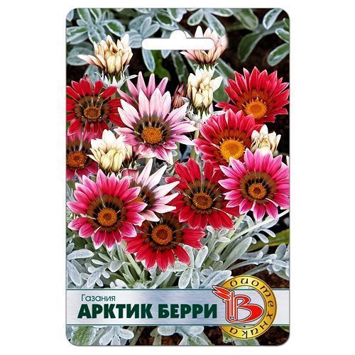 ������ ������ ������� ������ �����, ����� ������� ����������   ����