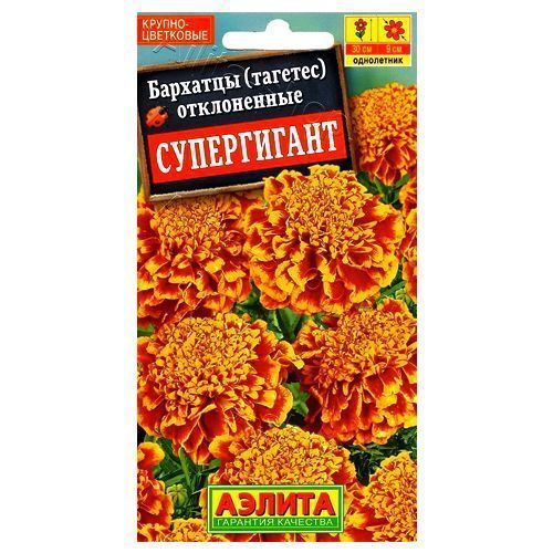 ������ ������ �������� ����������� ����������� ������   ����