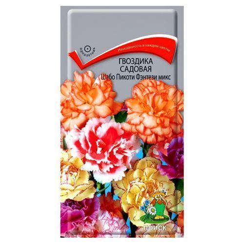 ������ ������ �������� ������� ���� ������ �������, ����� ������� �����   ����